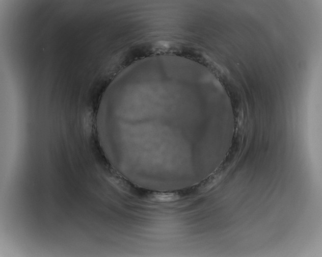 X0000115130659200911241447