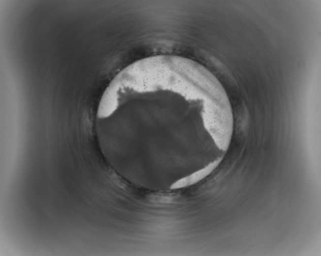 X0000115130661200911241447