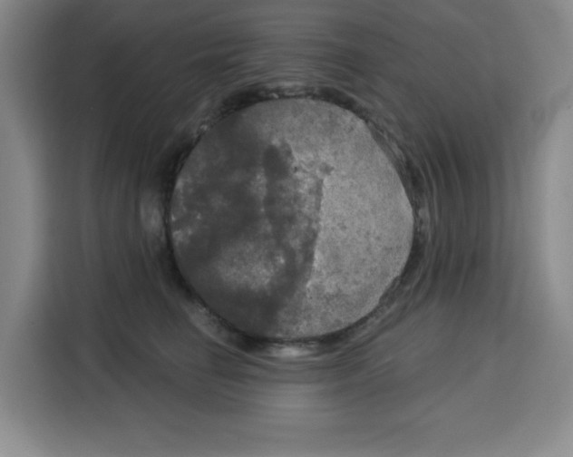 X0000115130662200911241447
