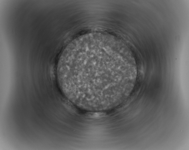 X0000115130663200911241447