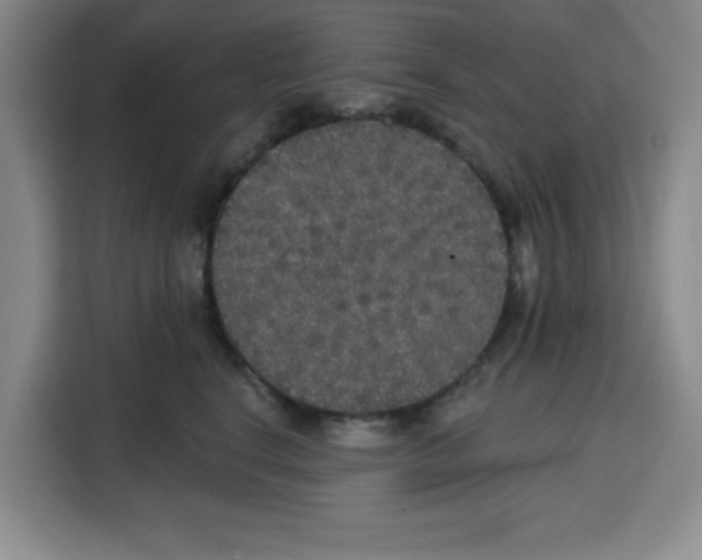X0000115130664200911241447
