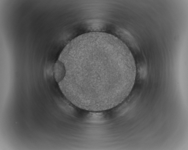 X0000115130665200911241447