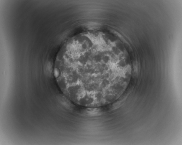X0000115130667200911241447