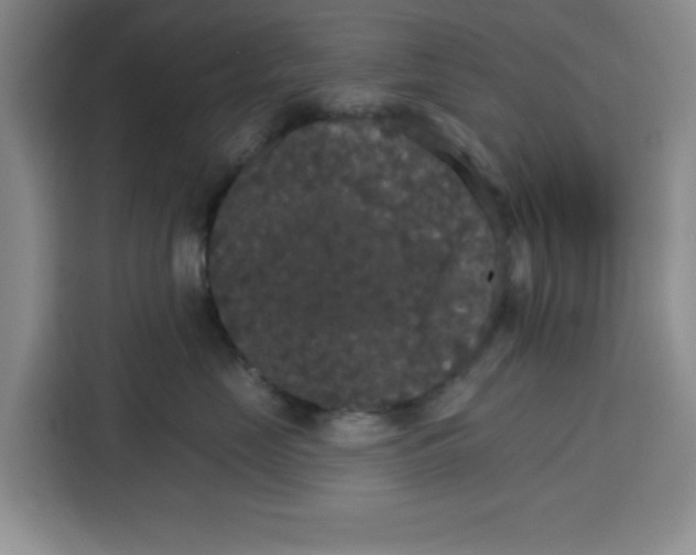 X0000115130669200911241447