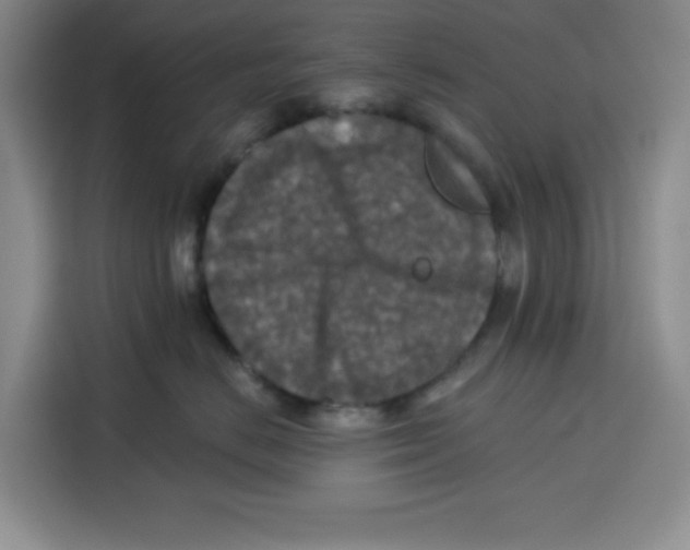 X0000115130670200911241447