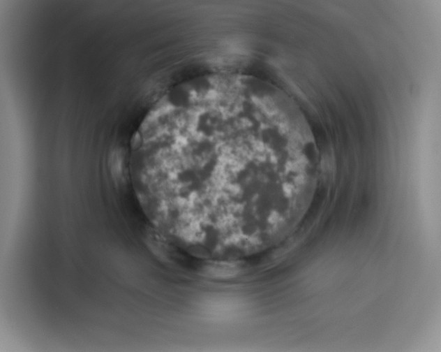 X0000115130671200911241447