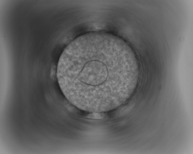 X0000115130672200911241447