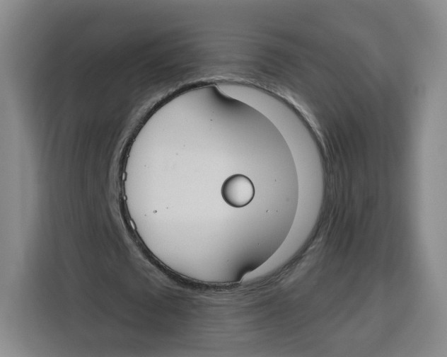 X0000115130673200911241446