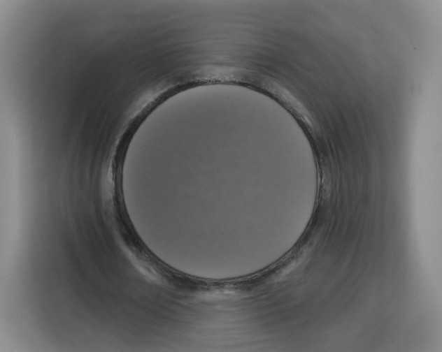 X0000115130674200911241446