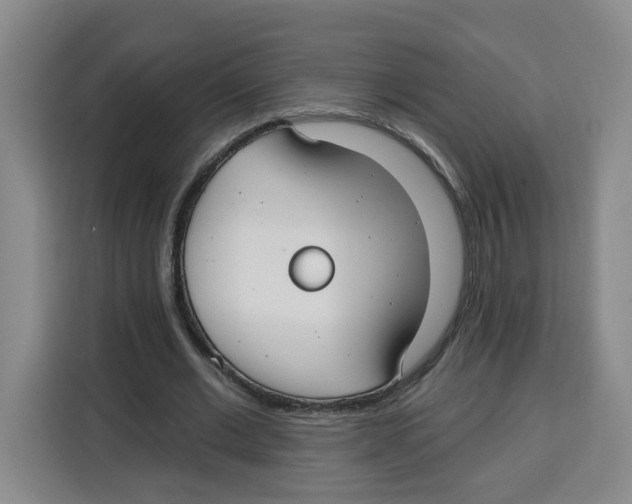 X0000115130677200911241446