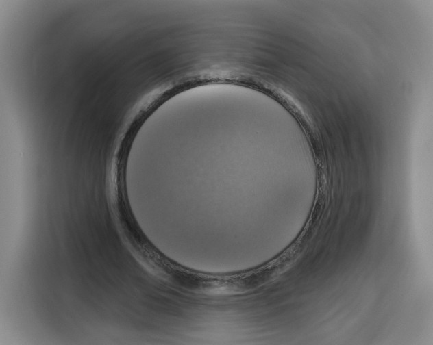 X0000115130678200911241446