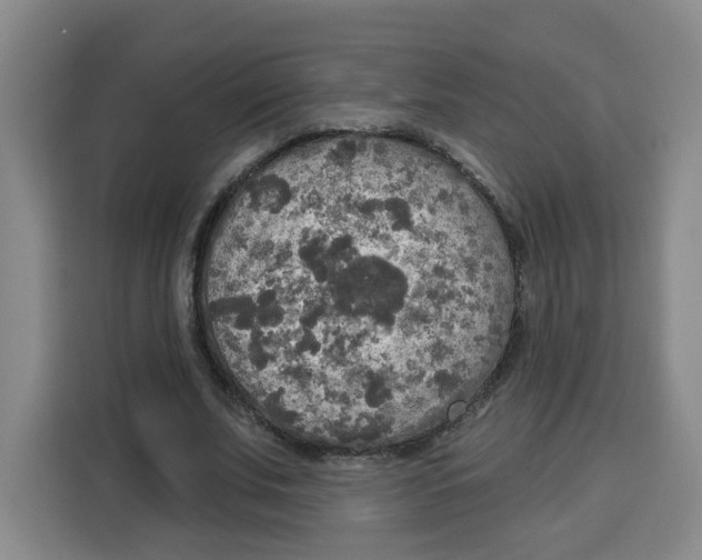 X0000115130679200911241446