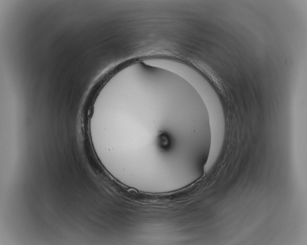 X0000115130680200911241446