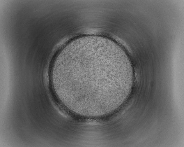 X0000115130682200911241446