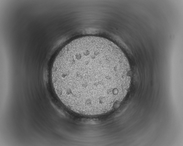 X0000115130683200911241446