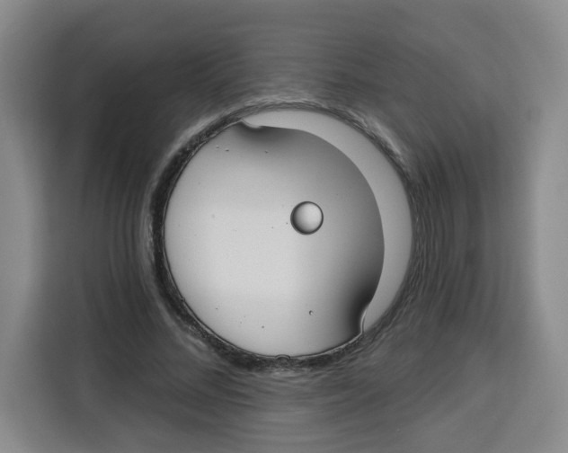 X0000115130684200911241446