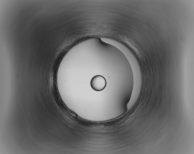 X0000115130685200911241446
