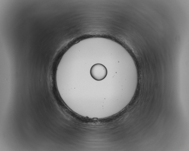 X0000115130688200911241446