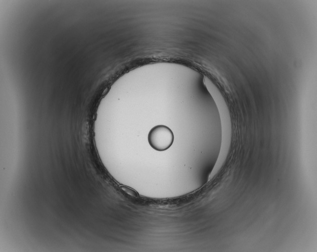 X0000115130689200911241446