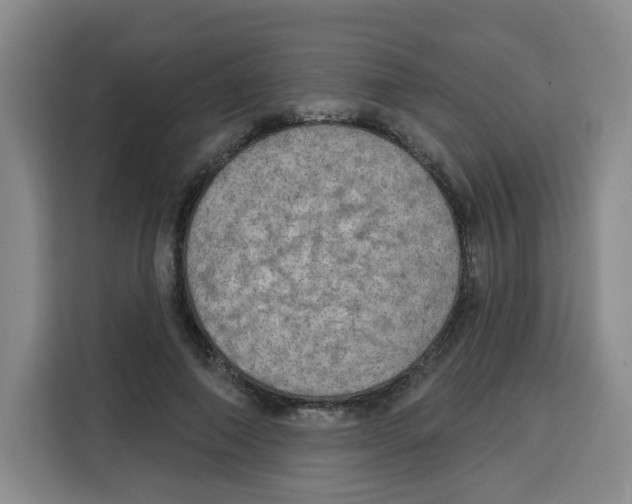 X0000115130690200911241446
