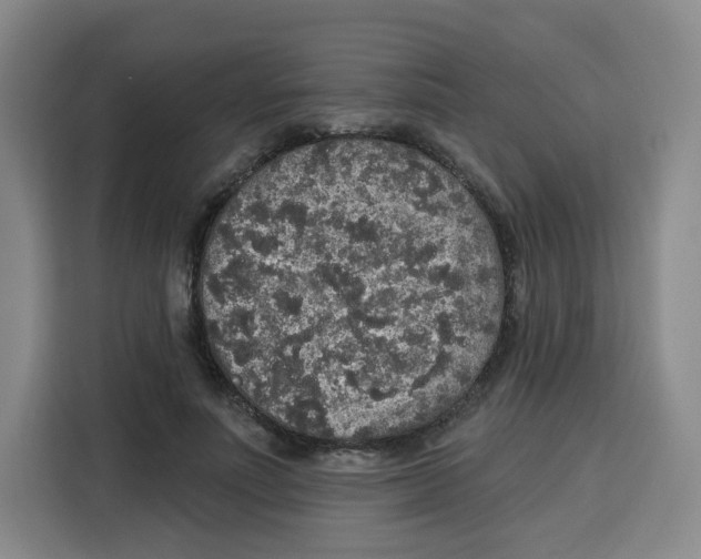 X0000115130691200911241446