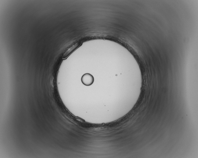 X0000115130692200911241446