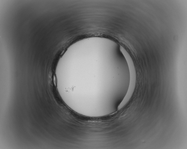 X0000115130693200911241446