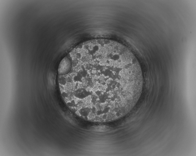 X0000115130695200911241446