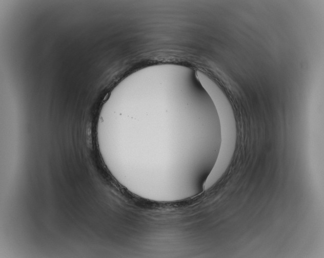 X0000115130696200911241446