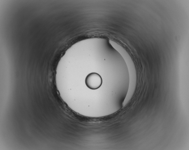X0000115130701200911241446
