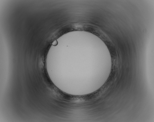 X0000115130702200911241446