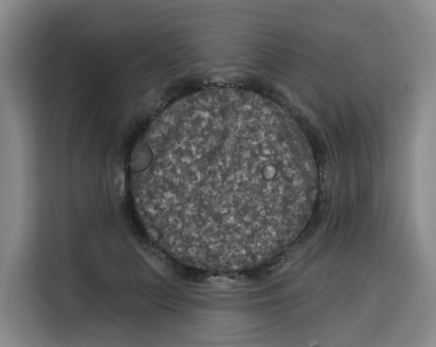 X0000115130703200911241446