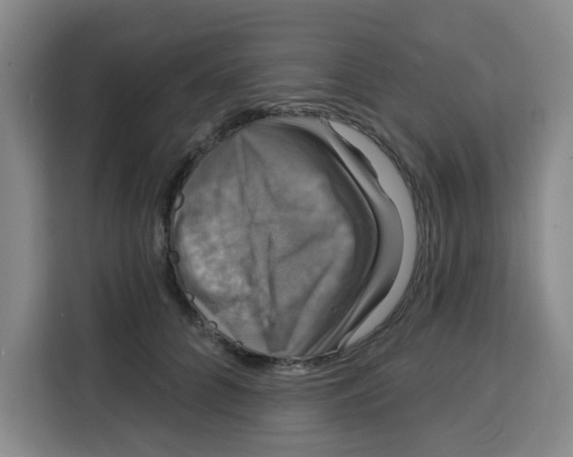 X0000115130704200911241446