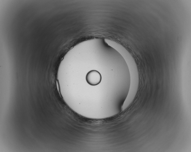 X0000115130705200911241446