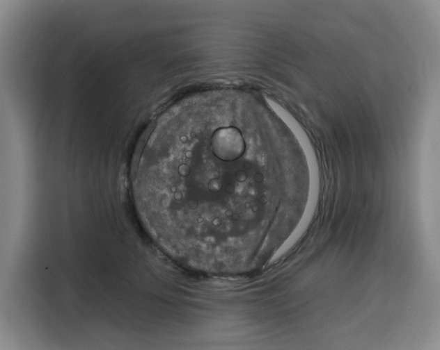 X0000115130707200911241446