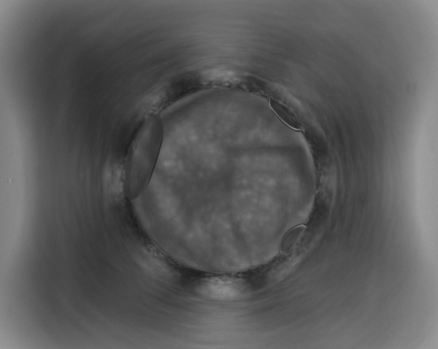 X0000115130708200911241446