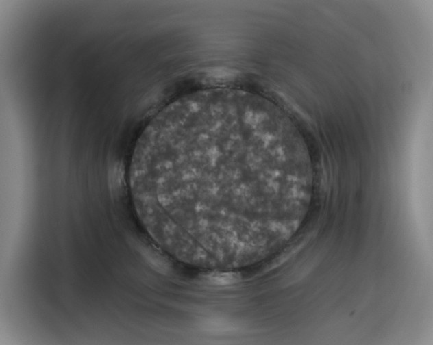 X0000115130711200911241446