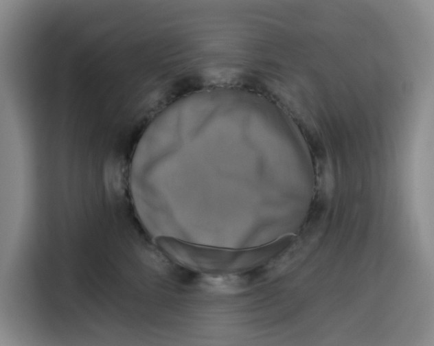 X0000115130712200911241446