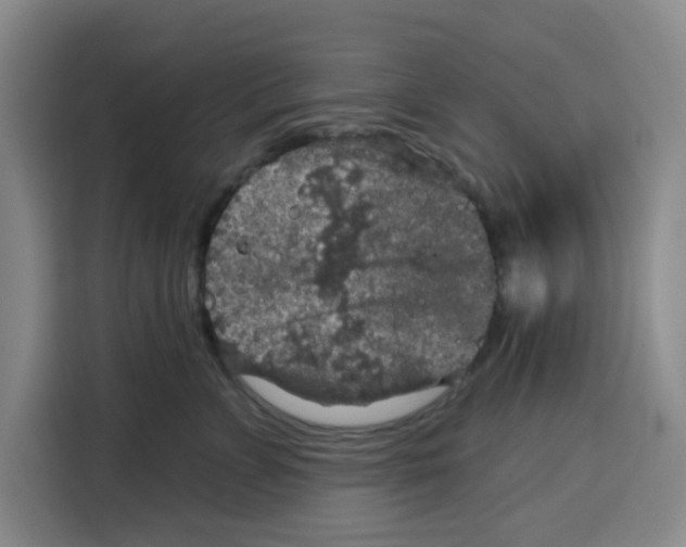 X0000115130715200911241446