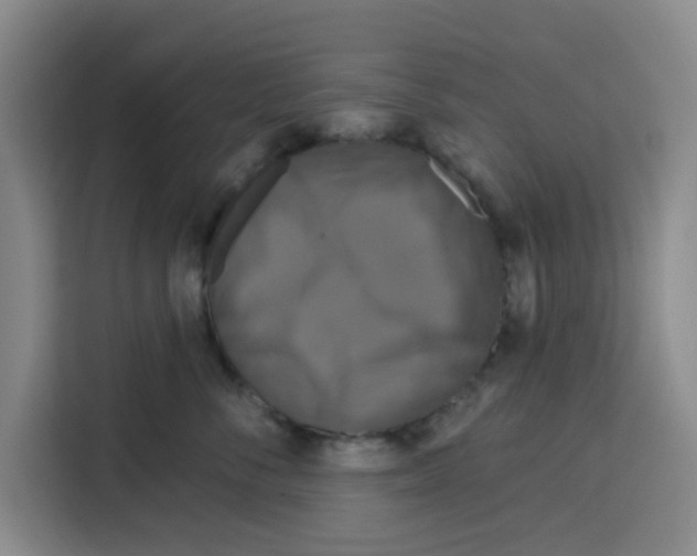 X0000115130716200911241446