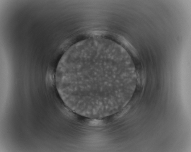 X0000115130718200911241446