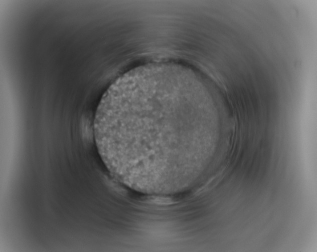X0000115130719200911241446
