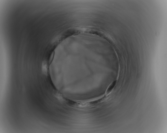 X0000115130720200911241446