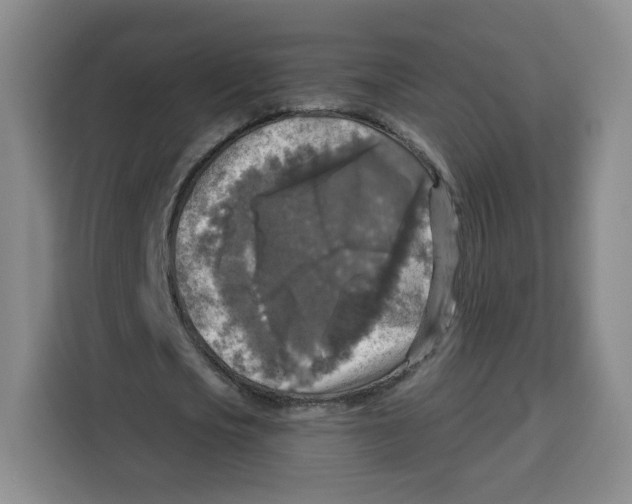 X0000115130721200911241445