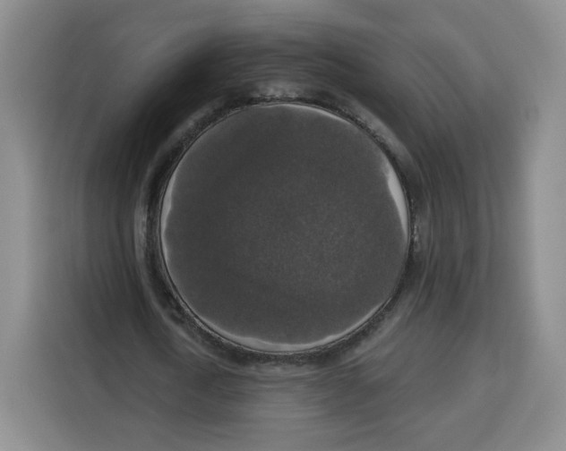 X0000115130722200911241445