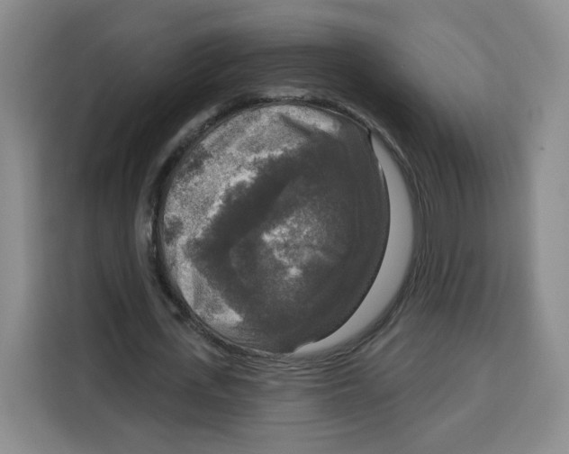 X0000115130723200911241445