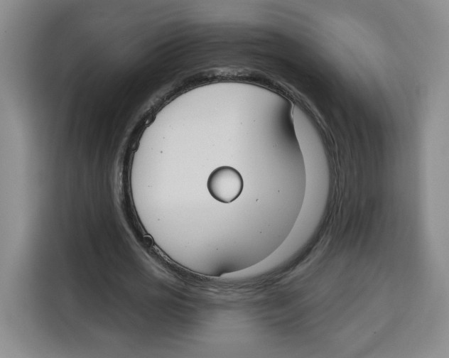X0000115130725200911241445