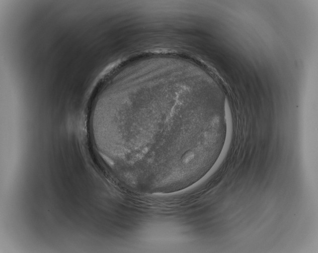 X0000115130727200911241445