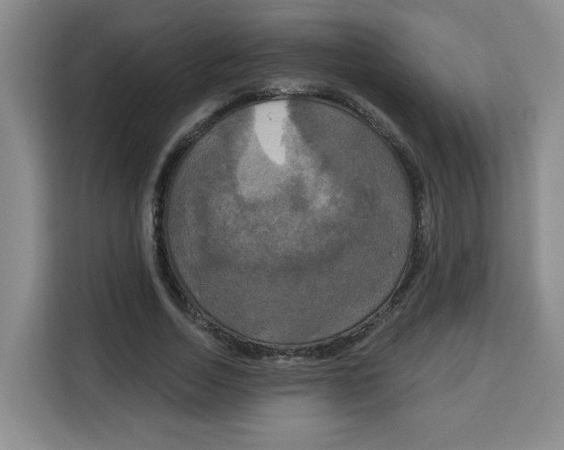 X0000115130730200911241445