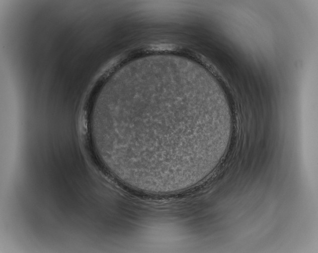 X0000115130731200911241445